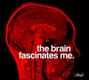 Andy Warhol for Neuroscientists II | The Neuro Bureau