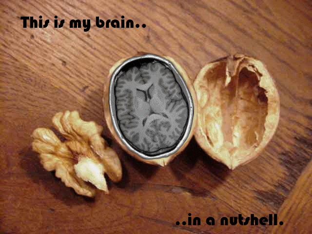 Business Partners & Marital Partners Will The Marriage Survive - Part Ii