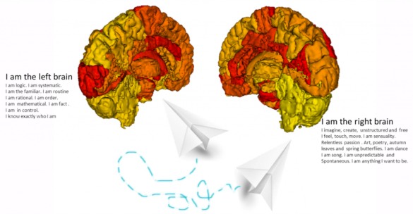 Kaushik Ram Brain Dynamics Centre, University of Sydney. Australia