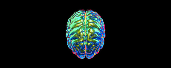 Brain_039 | The Neuro Bureau