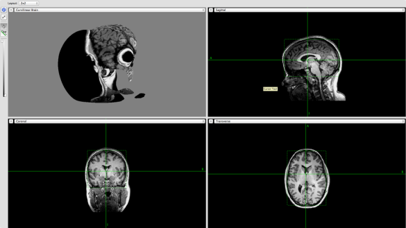 Lukas SchaeffnerDepartment of Psychology, University of Cambridge