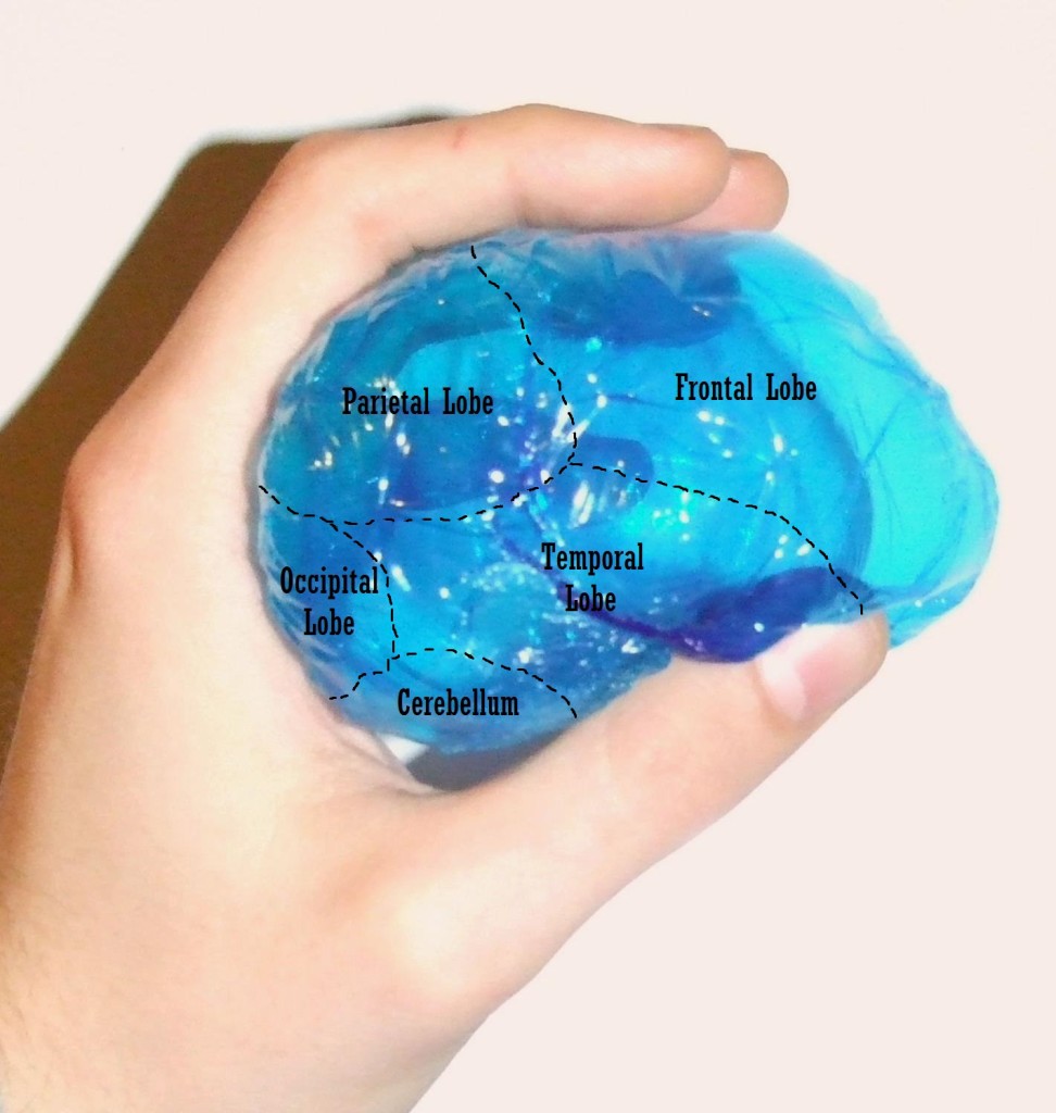 Crystal Brain | The Neuro Bureau