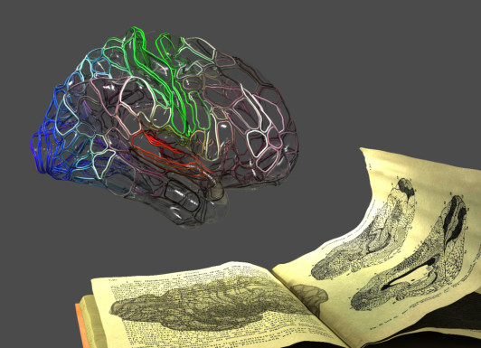 Michiel KleinnijenhuisFMRIB-Wellcome Centre for Integrative Neuroimaging