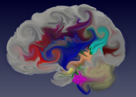Michiel KleinnijenhuisFMRIB-Wellcome Centre for Integrative Neuroimaging