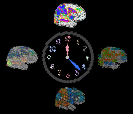 Vince CalhounThe Mind Research Network (MRN)