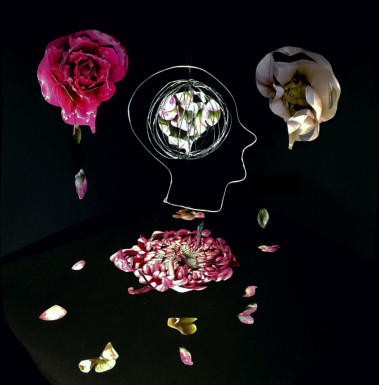 Holly WarrenUniversity of Hertfordshire School of Creative Art