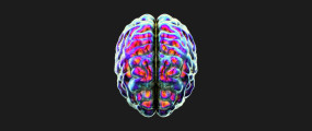 does gabapentin cause loss of libido