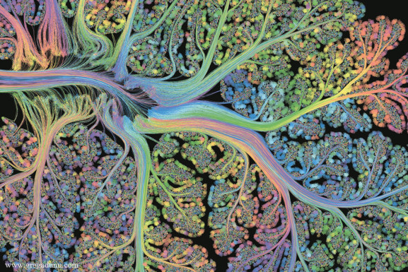 connectome_Cerebellar Folia_by_Greg Dunn | The Neuro Bureau