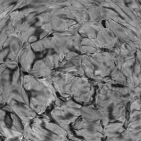 vasculature_Veins in fMRI_by_Kendrick Kay | The Neuro Bureau