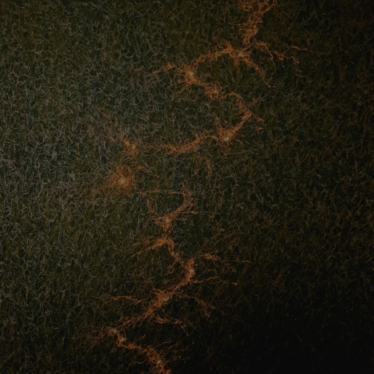 Significado de RTP en Casinos: Un Análisis Detallado