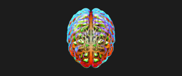the human brain | The Neuro Bureau
