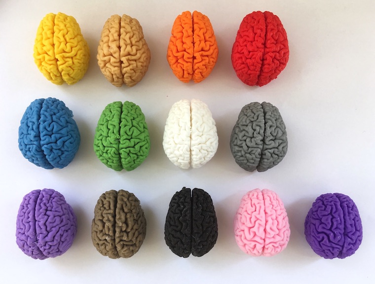 Name the brain | The Neuro Bureau