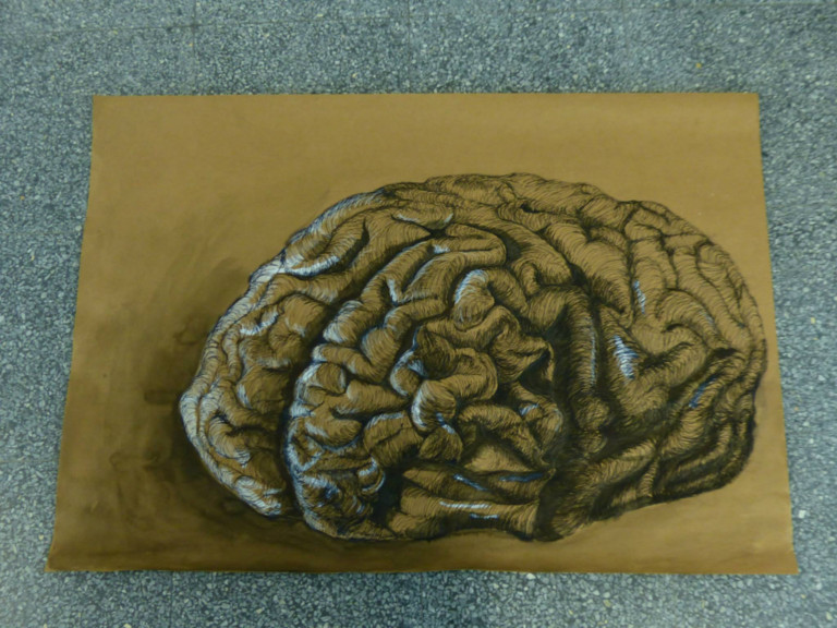 Brain study | The Neuro Bureau