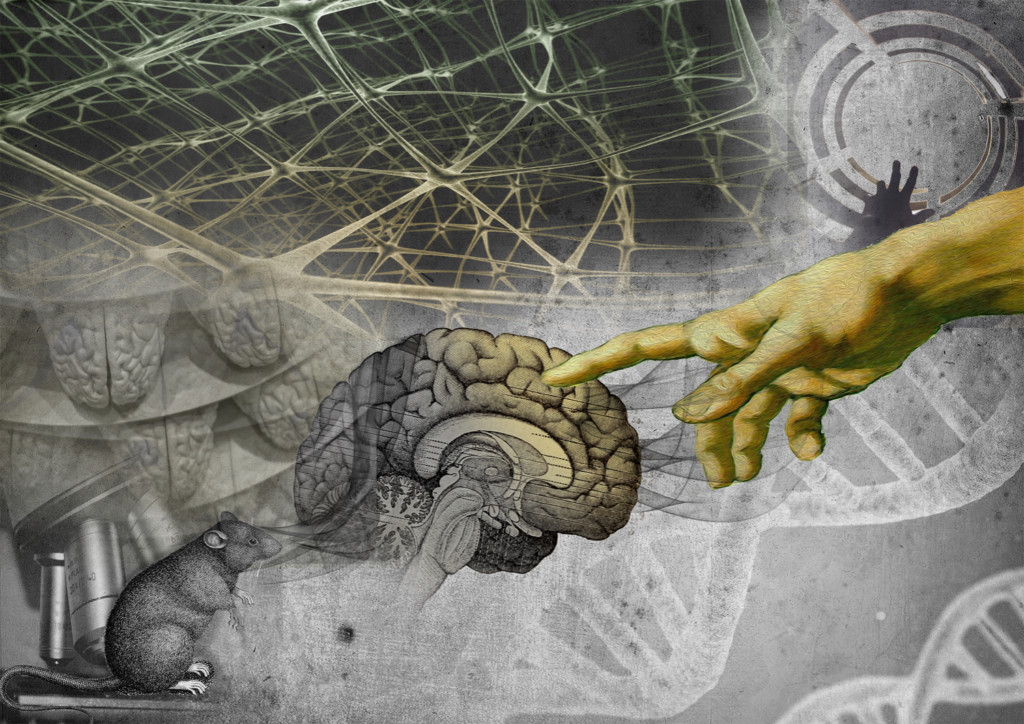 Dr. Bronner's Magic Lavender Pure Castile Soap Review