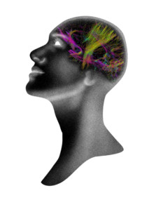 Erato_brainverse_by_Greta-Riello-220x285.jpg