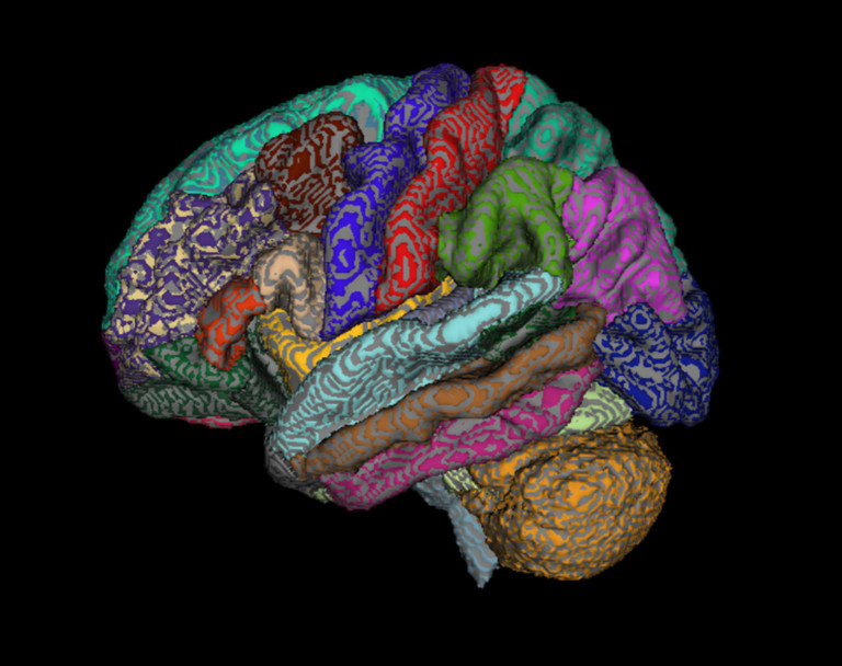 Brain Waves | The Neuro Bureau