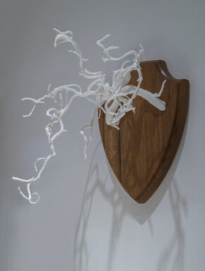 Brain blood vessels on wooden trophy mount Dave Farnham