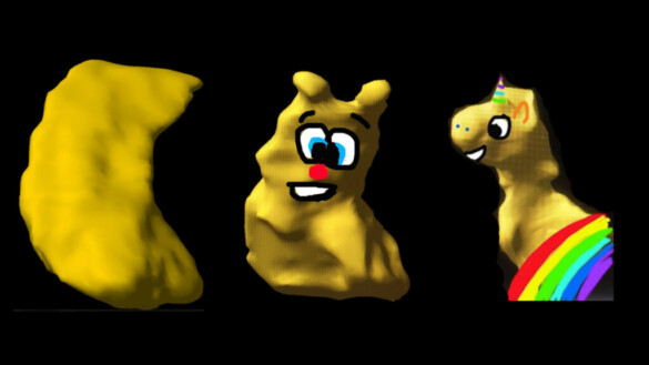 Hippocritters - Artemis Zavaliangos-Petropulu