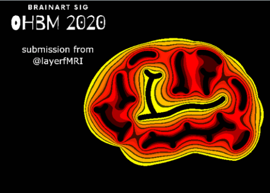 Layer fMRI Laurentius Huber