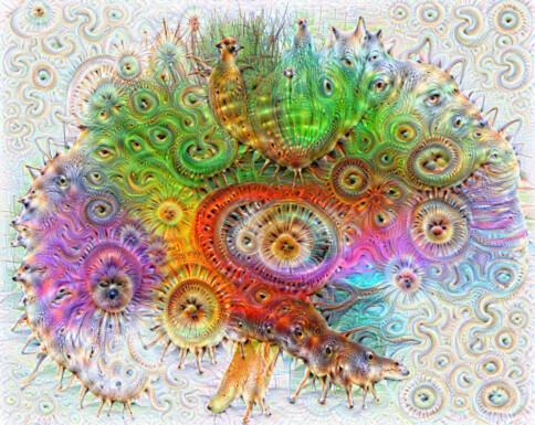 BrainEyes Jean-Francois Mangin, Neurospin