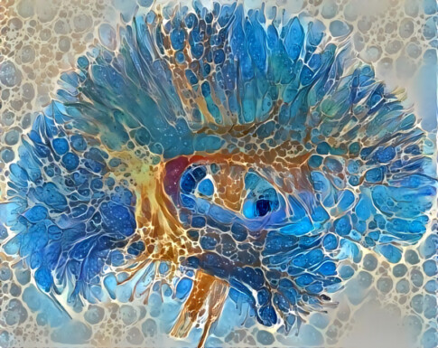 BrainGirafe Jean-Francois Mangin, Neurospin