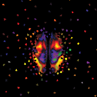 Mosaic Brain Cedric Huchuan Xia, University of Pennsylvania